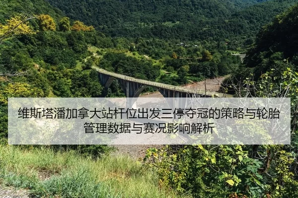 wei-si-ta-pan-jia-na-da-zhan-gan-wei-chu-fa-san-ting-duo-guan-de-ce-lve-yu-lun-tai-guan-li-shu-ju-yu-sai-kuang-ying-2-657.jpg